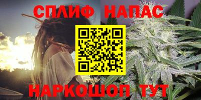 шишки Пугачёв