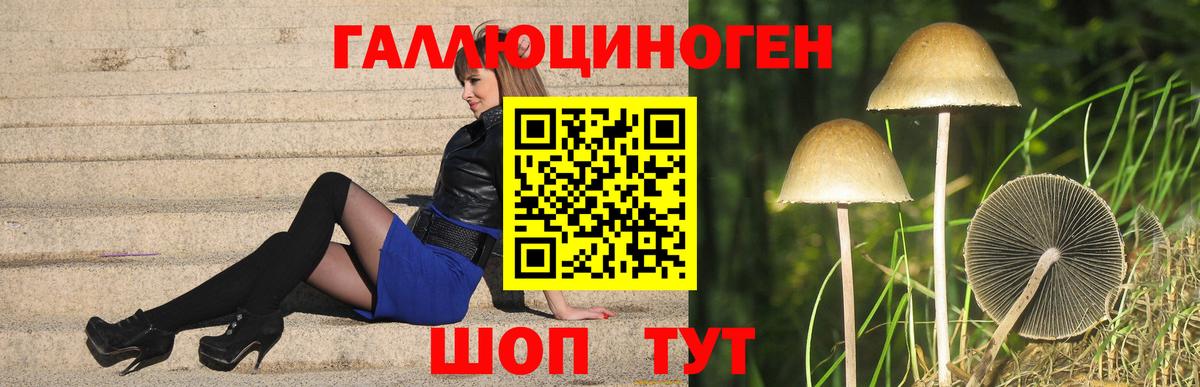 Дятьково  купить наркотик  Вход с VPN  Галлюциногенные грибы GOLDEN TEACHER 